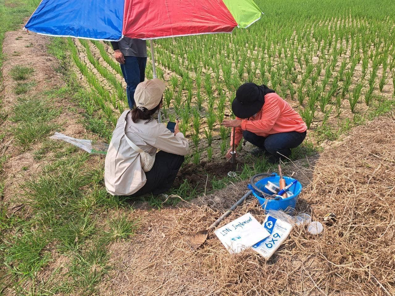 ภาพประกอบที่ 7