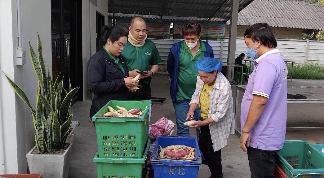 ภาพประกอบที่ 5