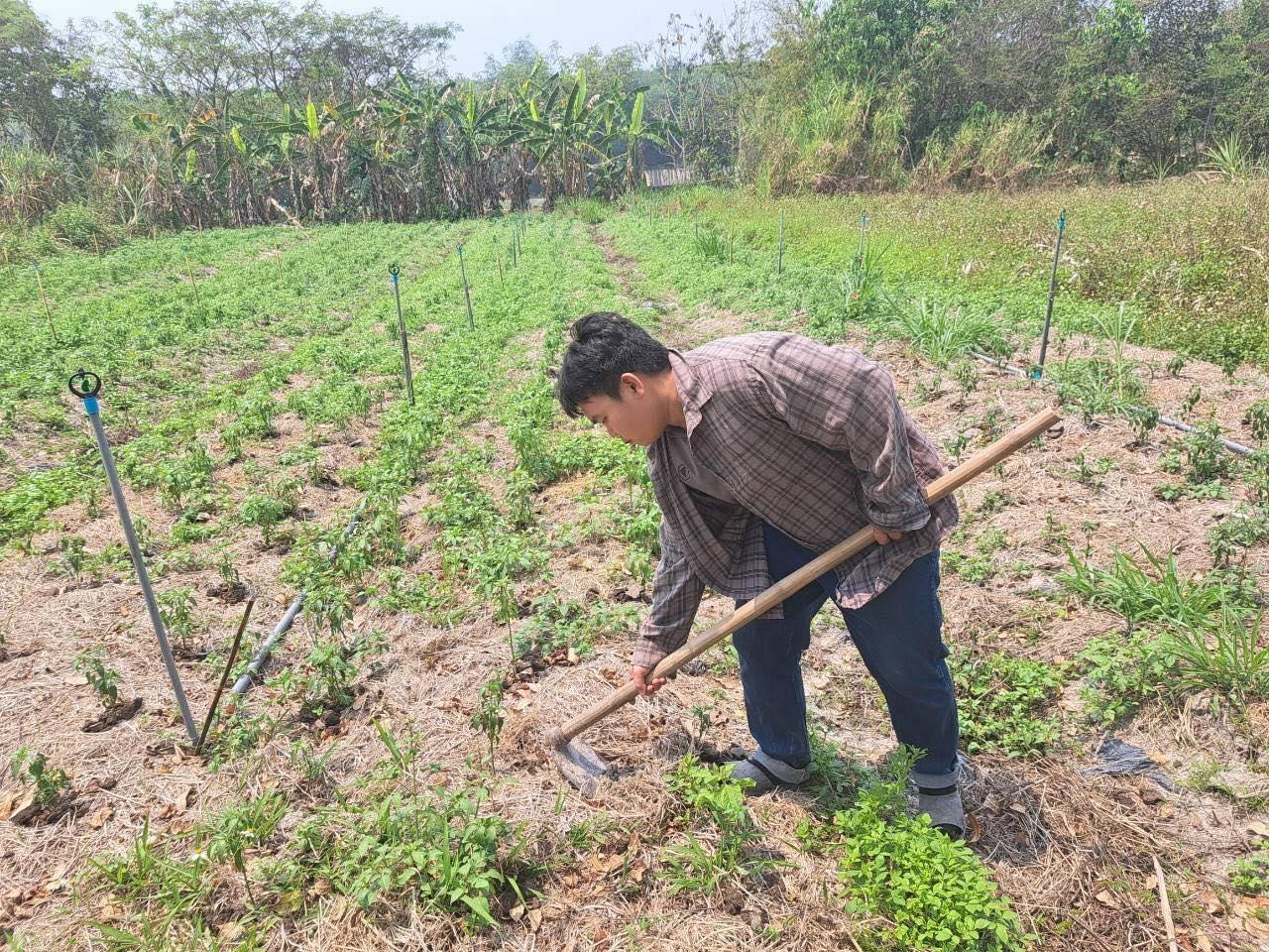 ภาพประกอบที่ 0