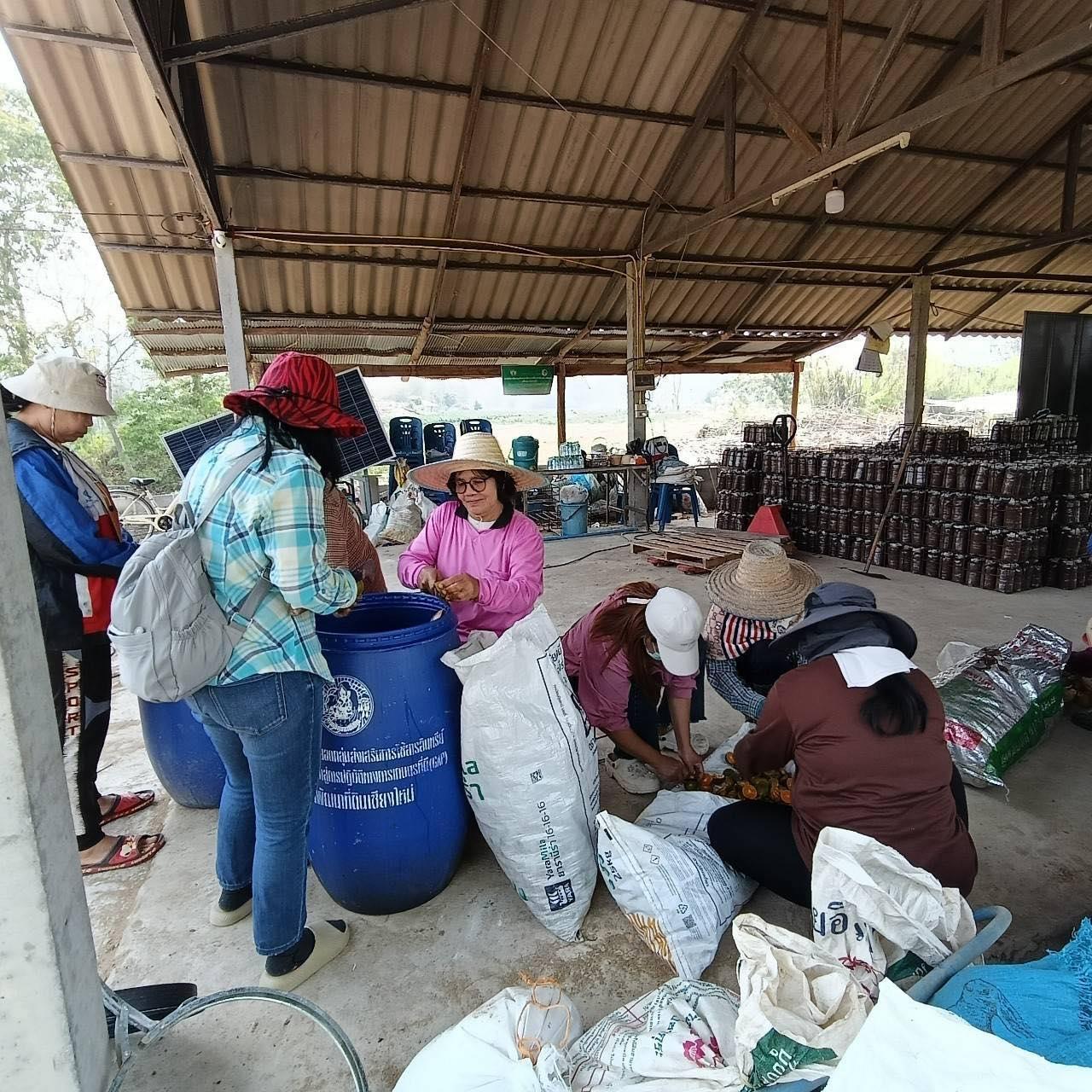 ภาพประกอบที่ 3