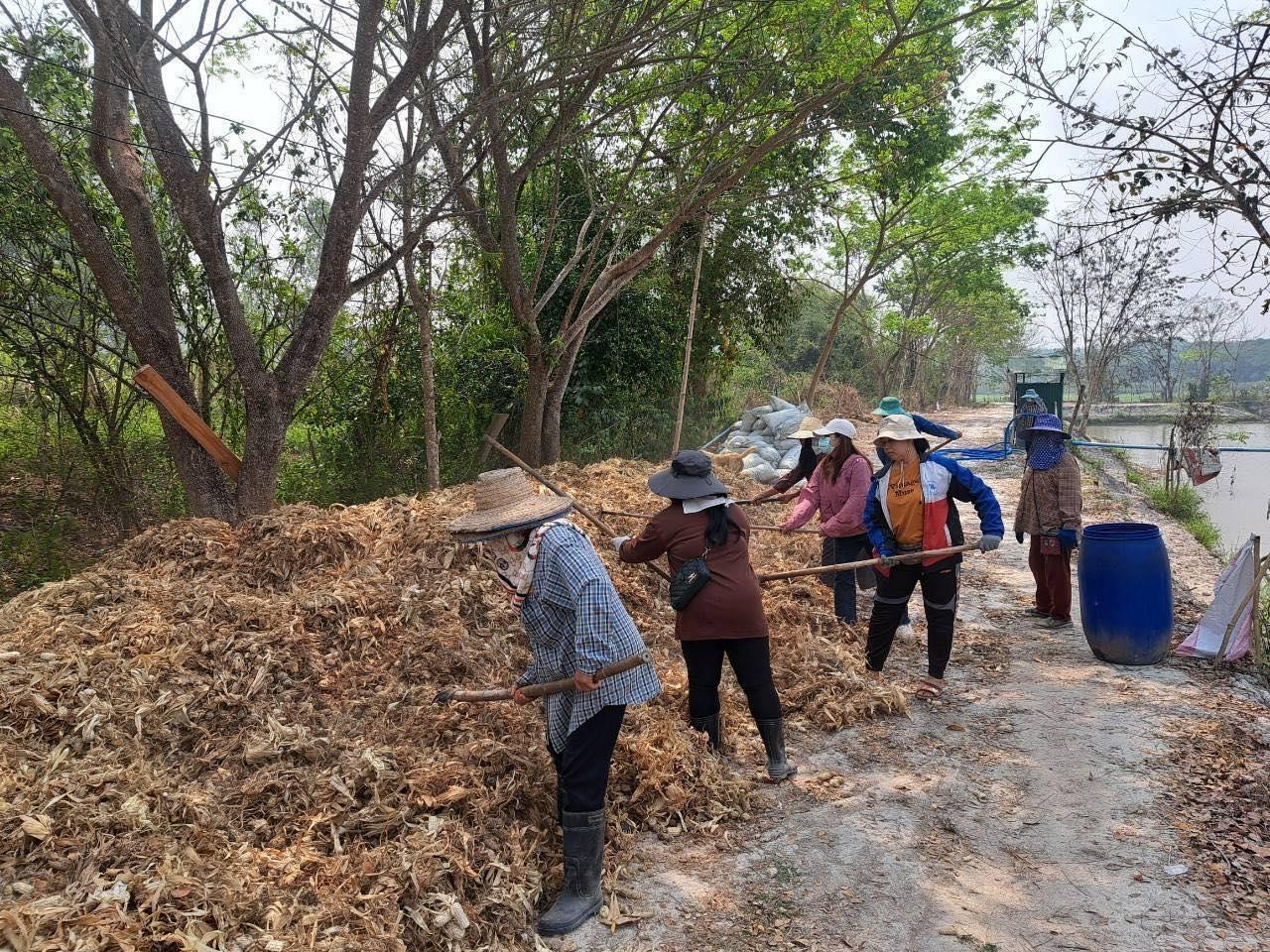ภาพประกอบที่ 7