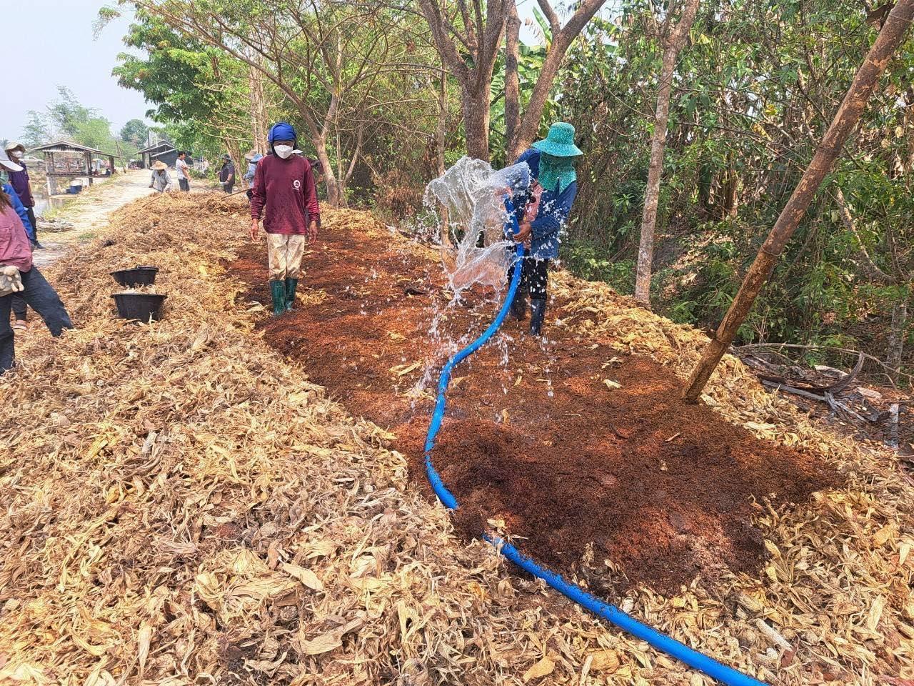 ภาพประกอบที่ 8