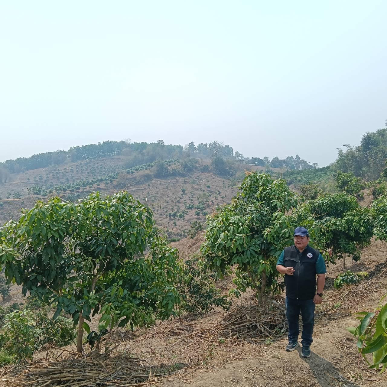 ภาพประกอบที่ 1