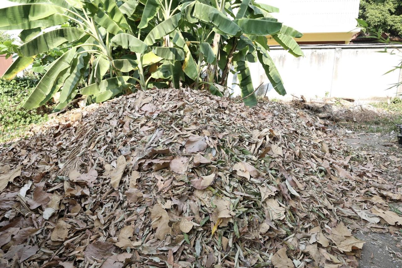 ภาพประกอบที่ 7