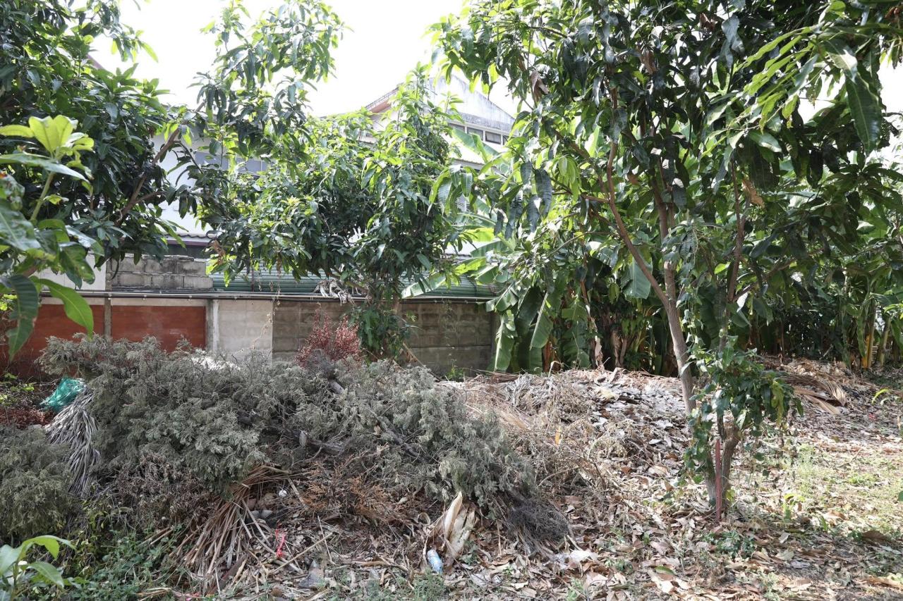 ภาพประกอบที่ 8