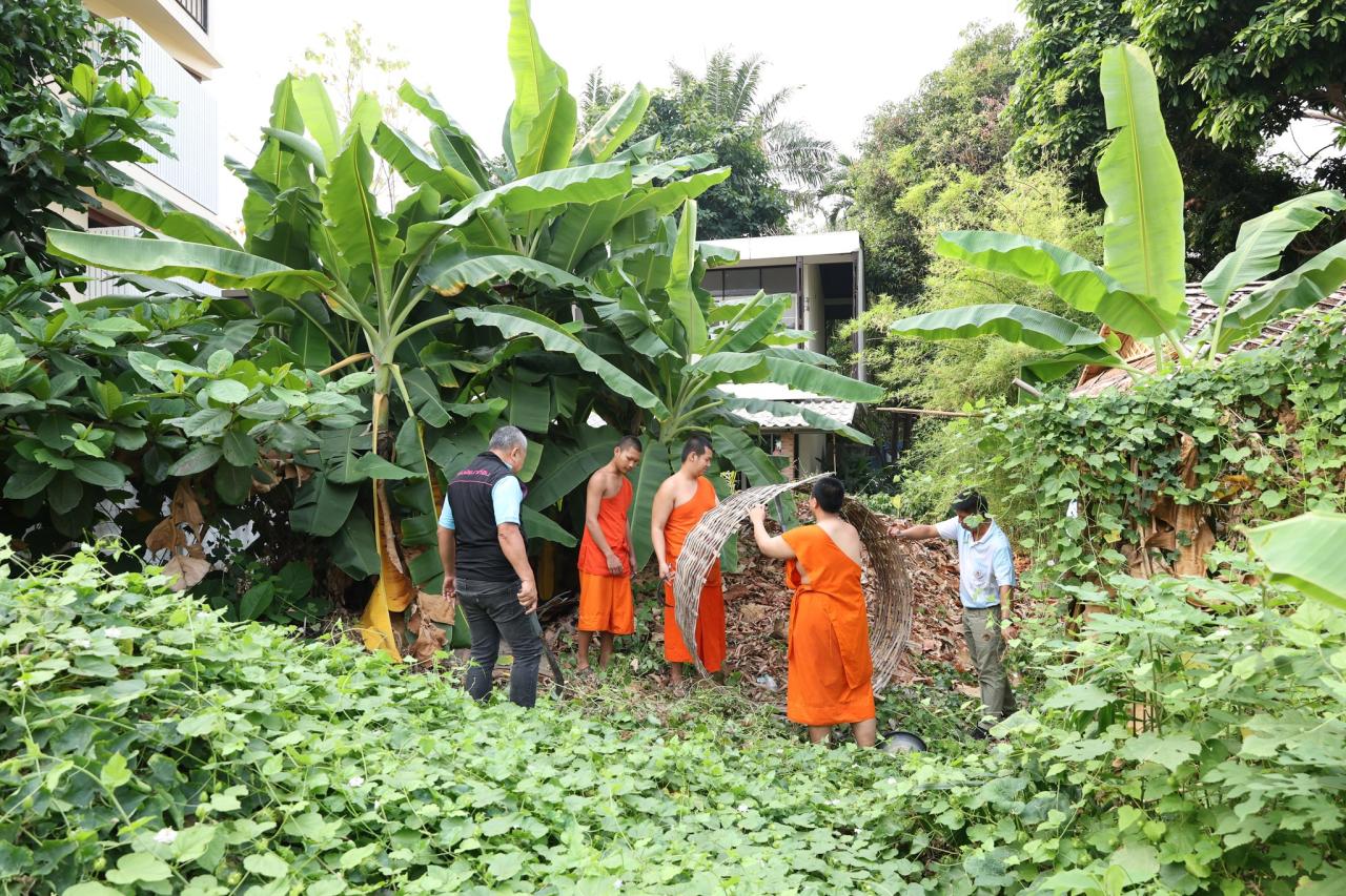 ภาพประกอบที่ 7