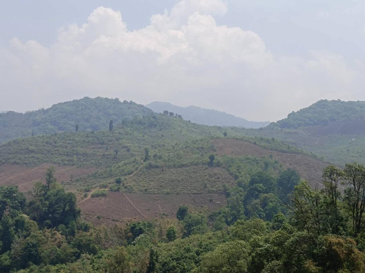 ภาพประกอบที่ 8