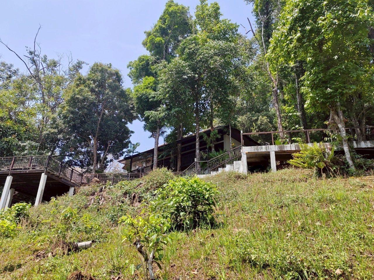 ภาพประกอบที่ 4