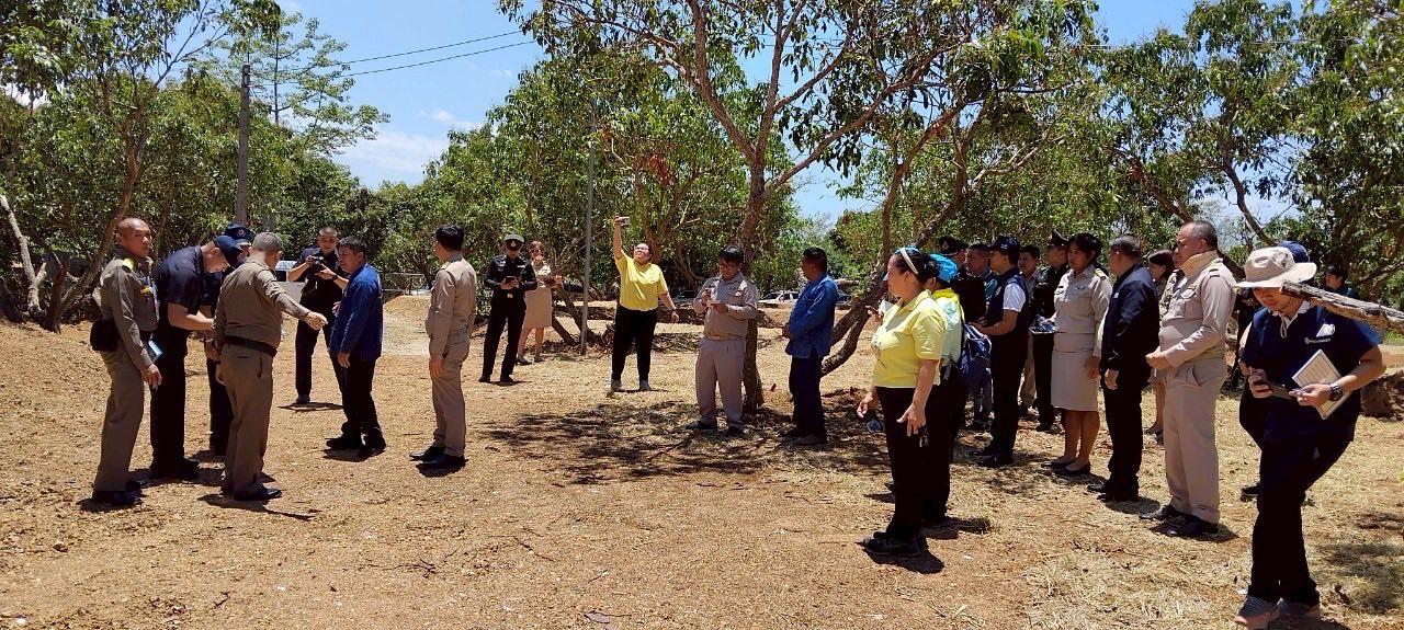 ภาพประกอบที่ 3