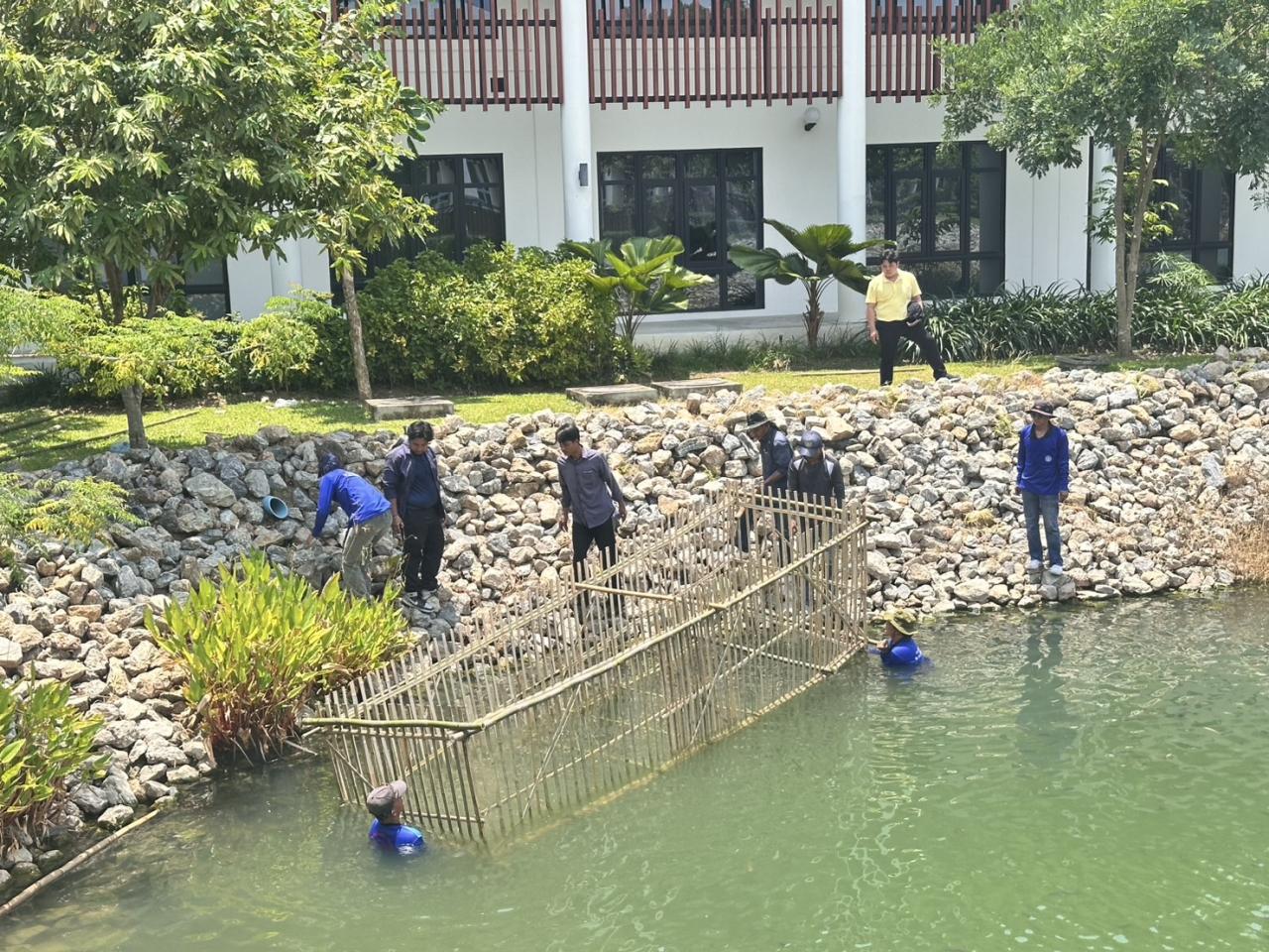 ภาพประกอบที่ 2