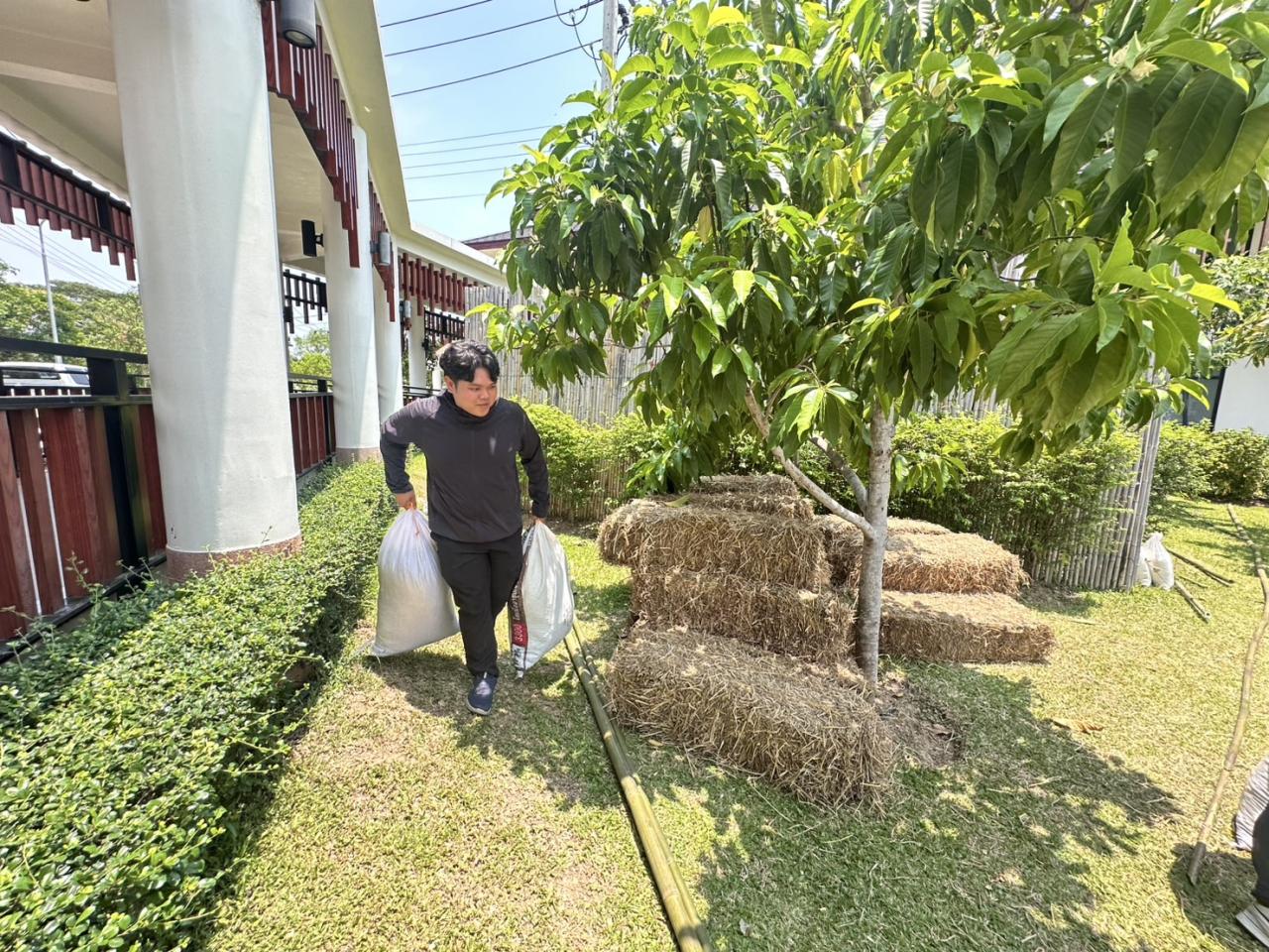 ภาพประกอบที่ 5