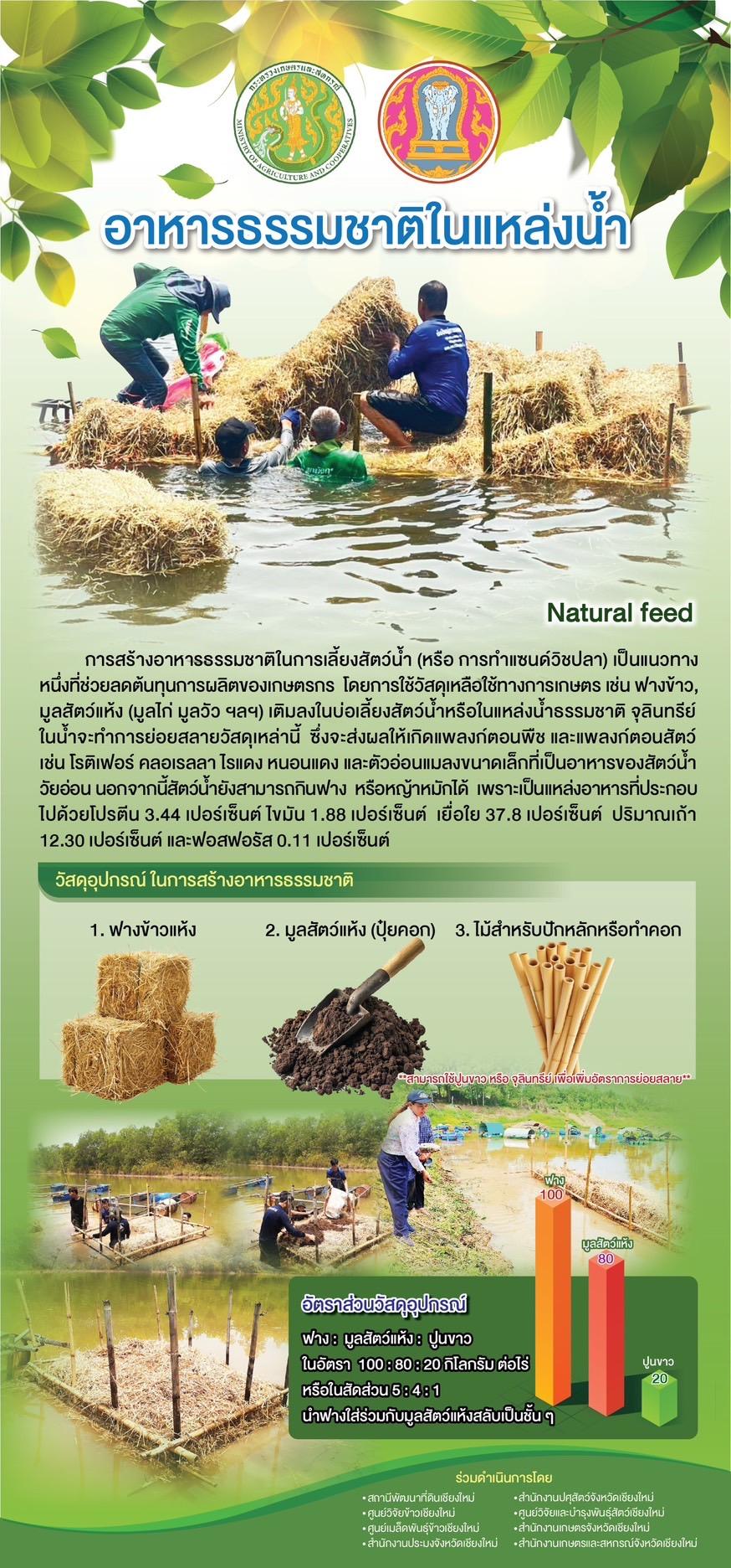 ภาพประกอบที่ 8