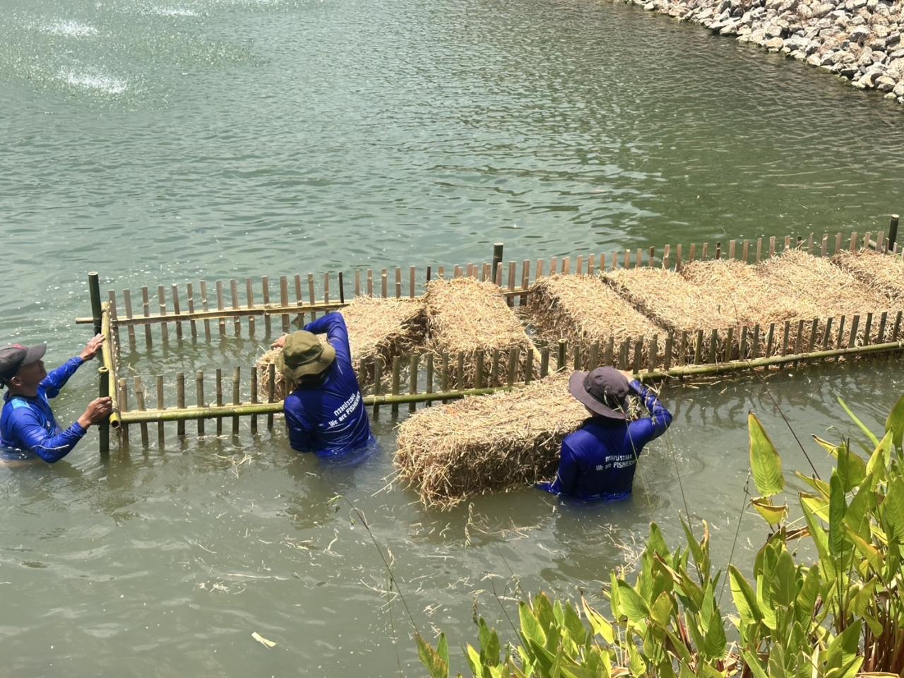 ภาพประกอบที่ 10