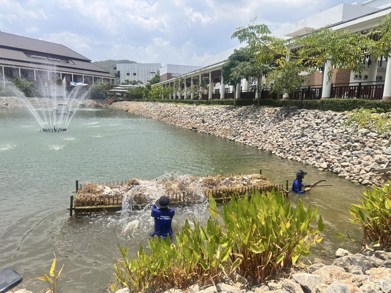 ภาพประกอบที่ 11