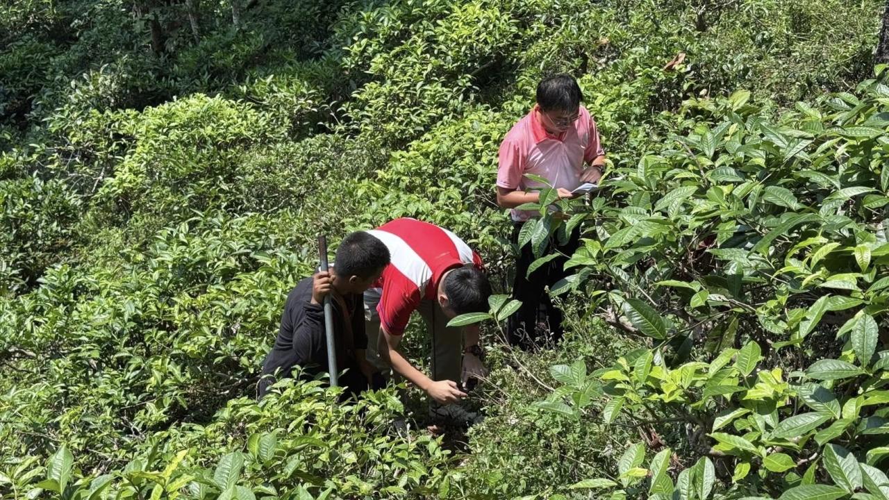 ภาพประกอบที่ 4
