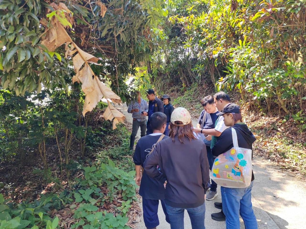 ภาพประกอบที่ 6