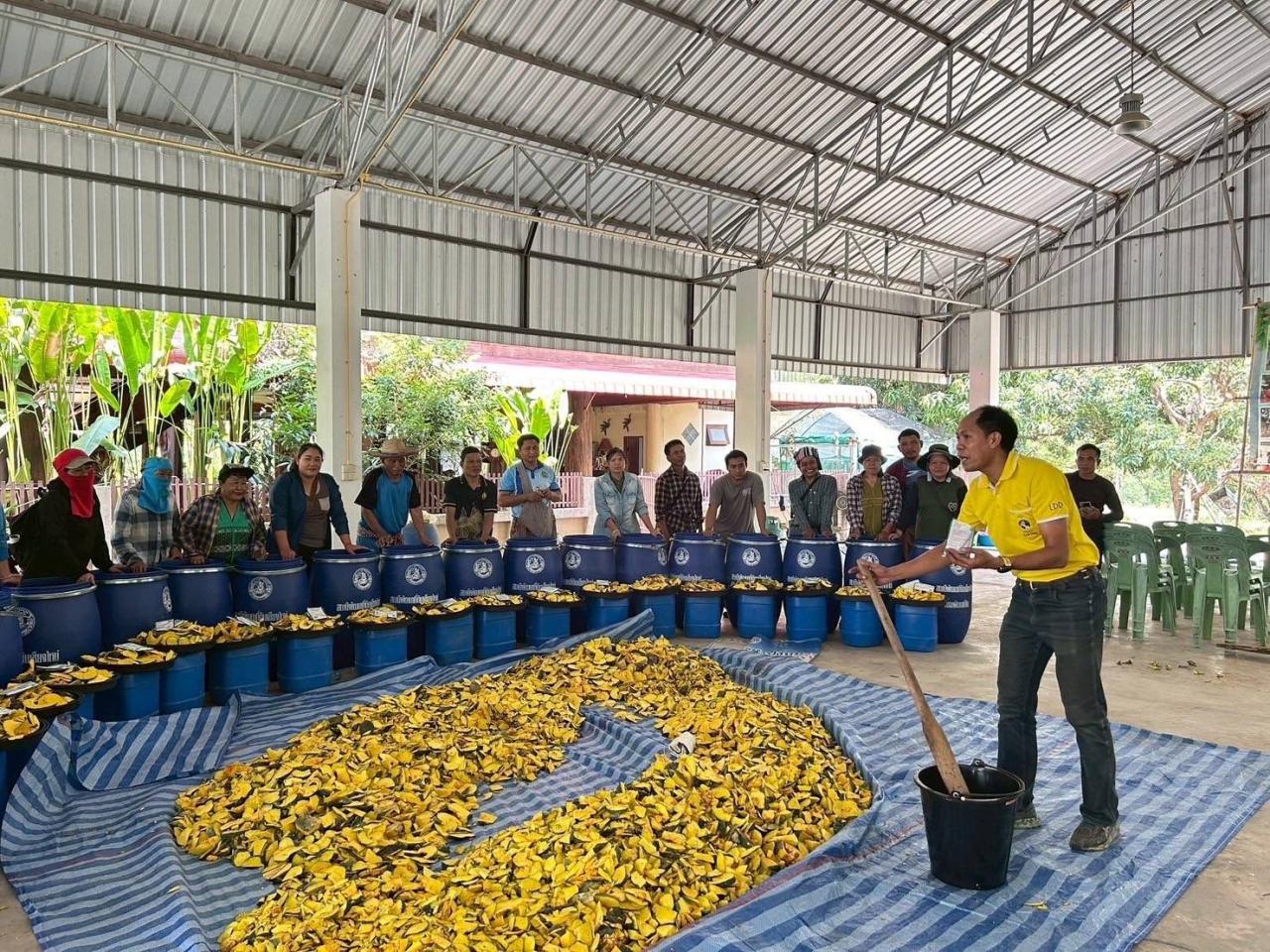ภาพประกอบที่ 1