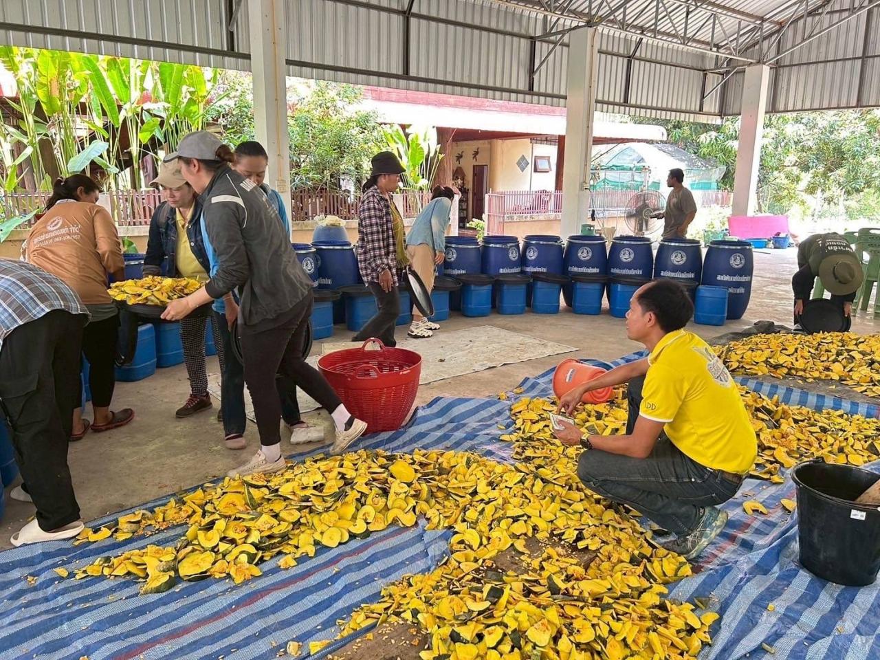 ภาพประกอบที่ 5
