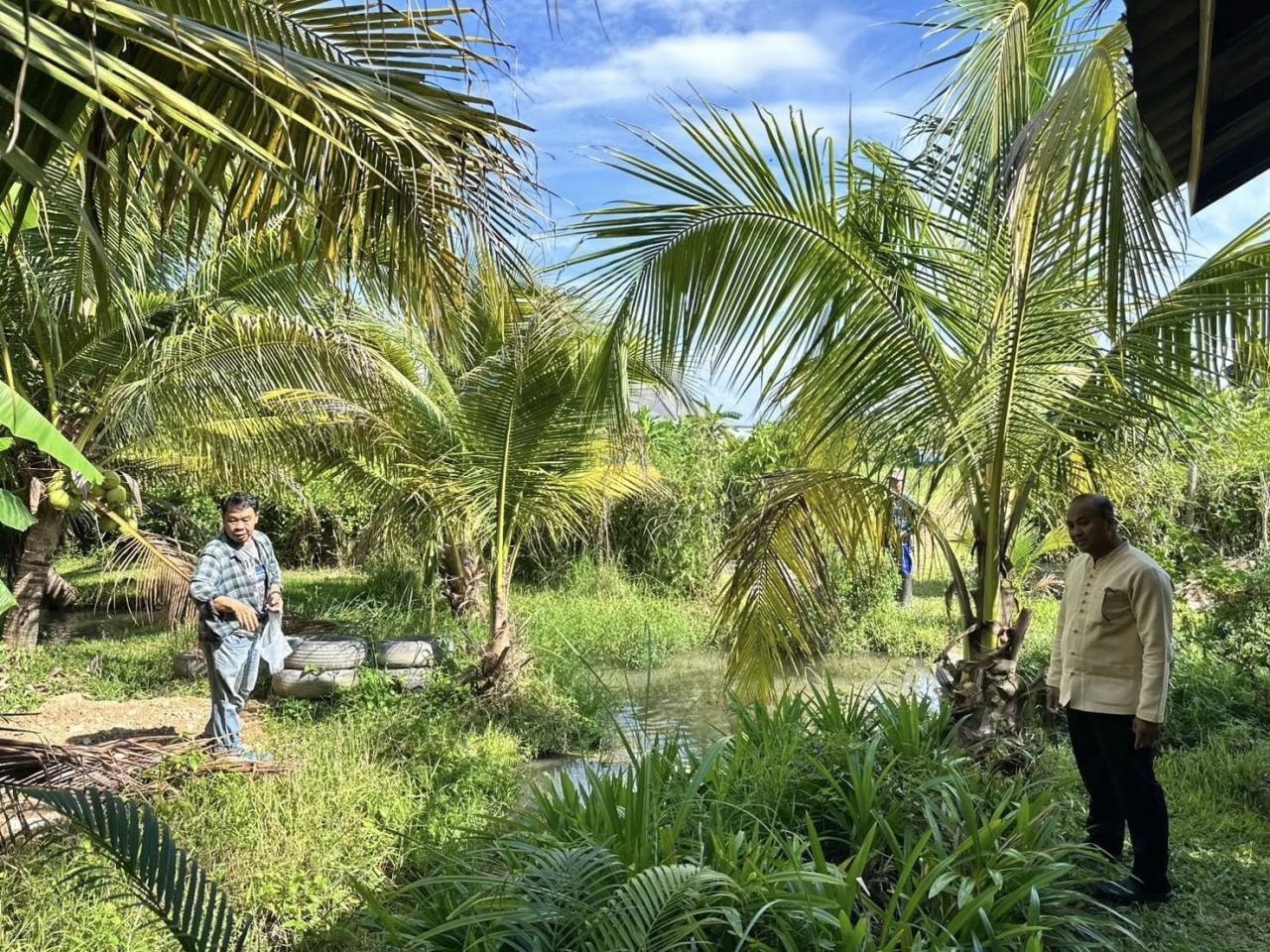 ภาพประกอบที่ 3