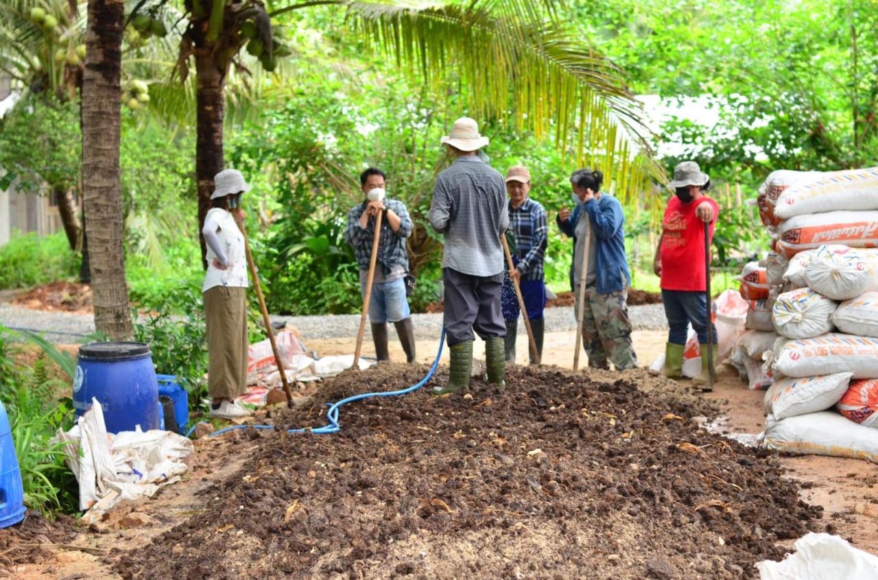 ภาพประกอบที่ 6