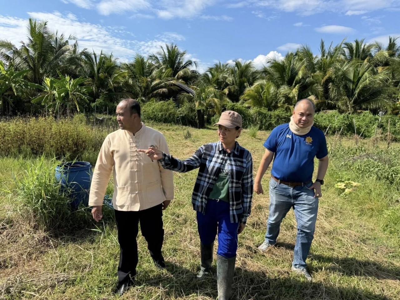 ภาพประกอบที่ 7