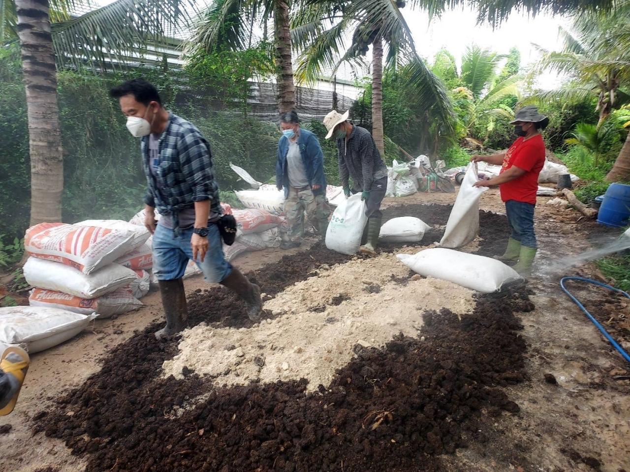 ภาพประกอบที่ 8