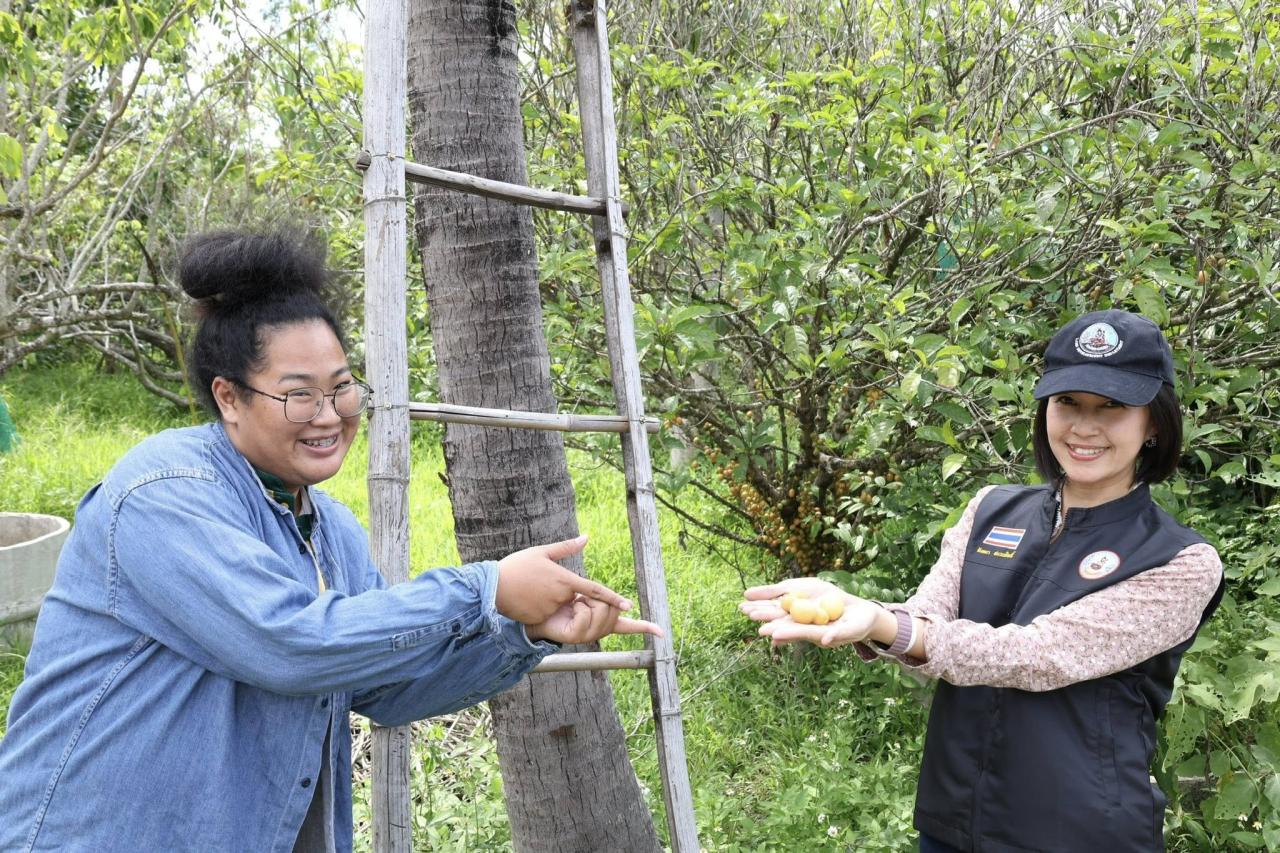 ภาพประกอบที่ 5