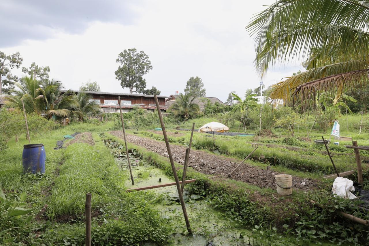 ภาพประกอบที่ 0