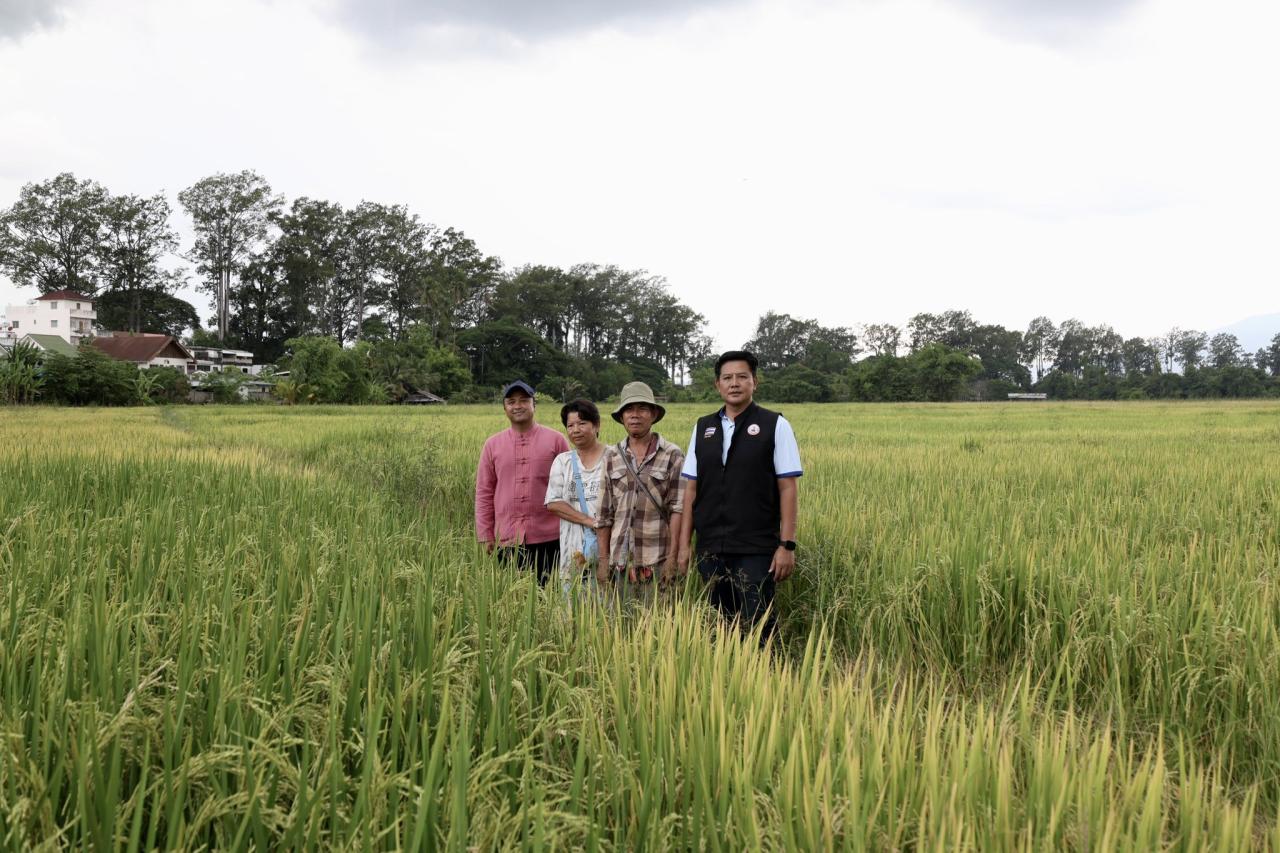 ภาพประกอบที่ 2