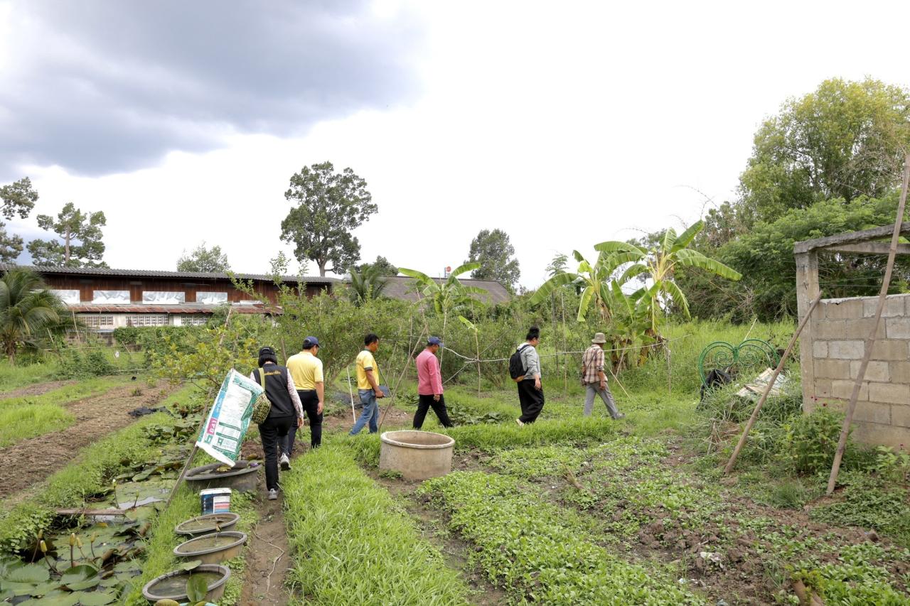 ภาพประกอบที่ 8