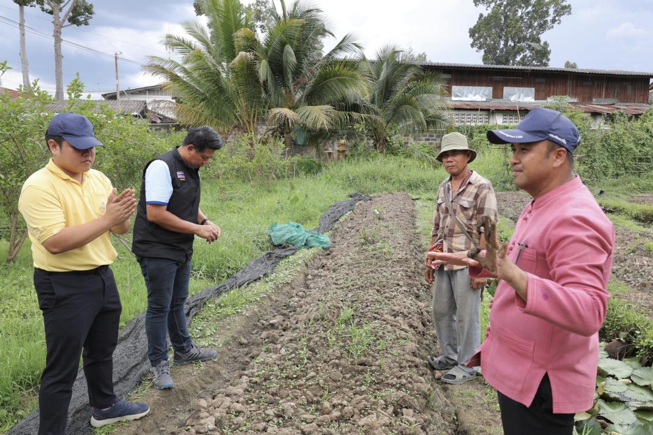 ภาพประกอบที่ 11