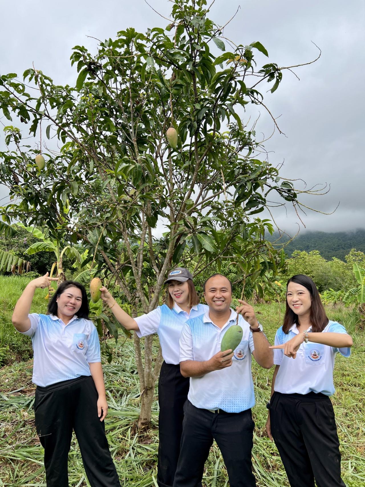 ภาพประกอบที่ 0