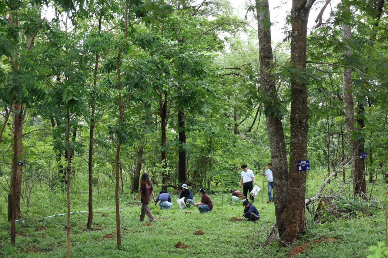 ภาพประกอบที่ 1