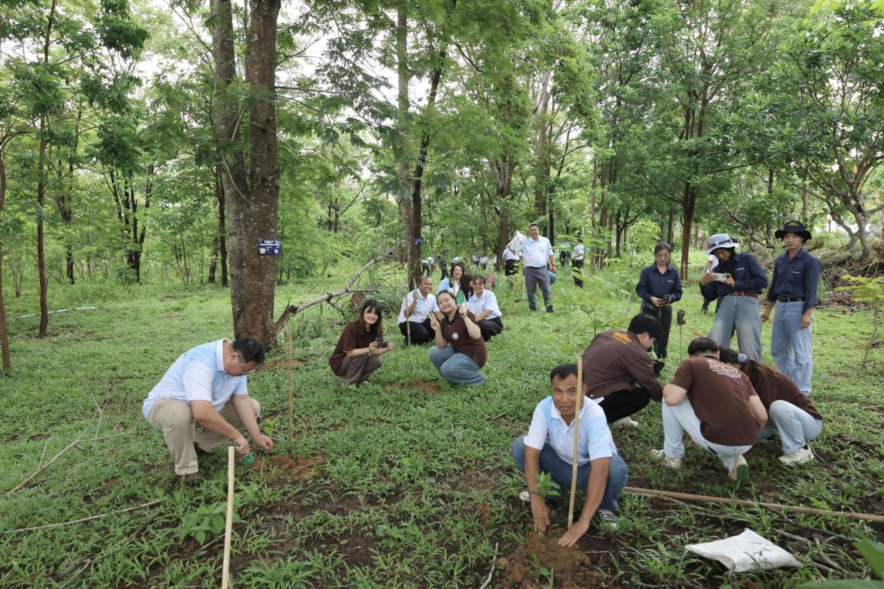 ภาพประกอบที่ 3