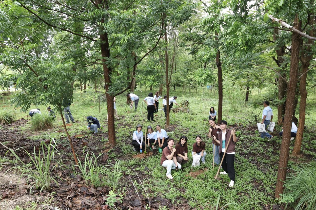 ภาพประกอบที่ 5