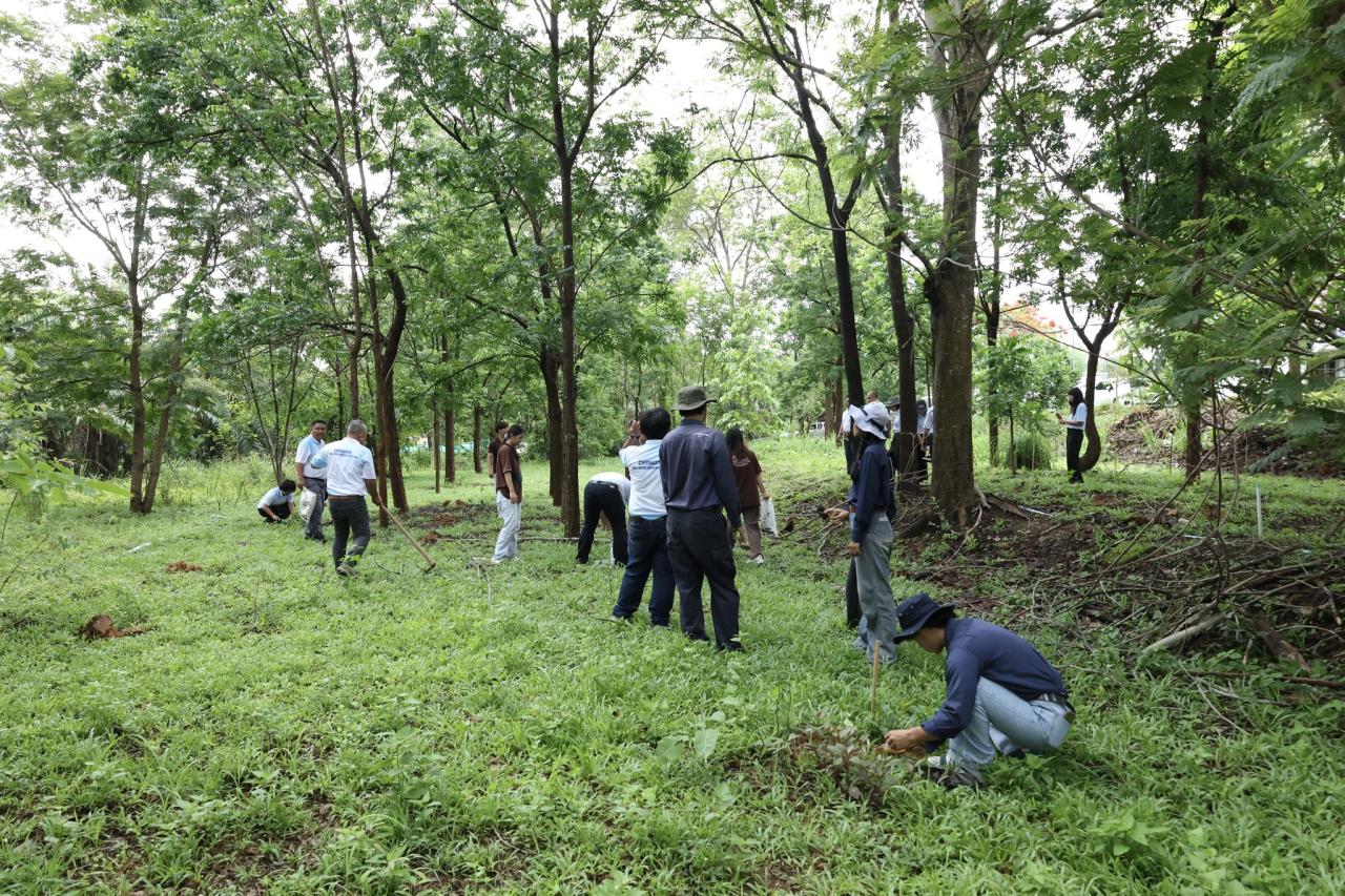 ภาพประกอบที่ 7