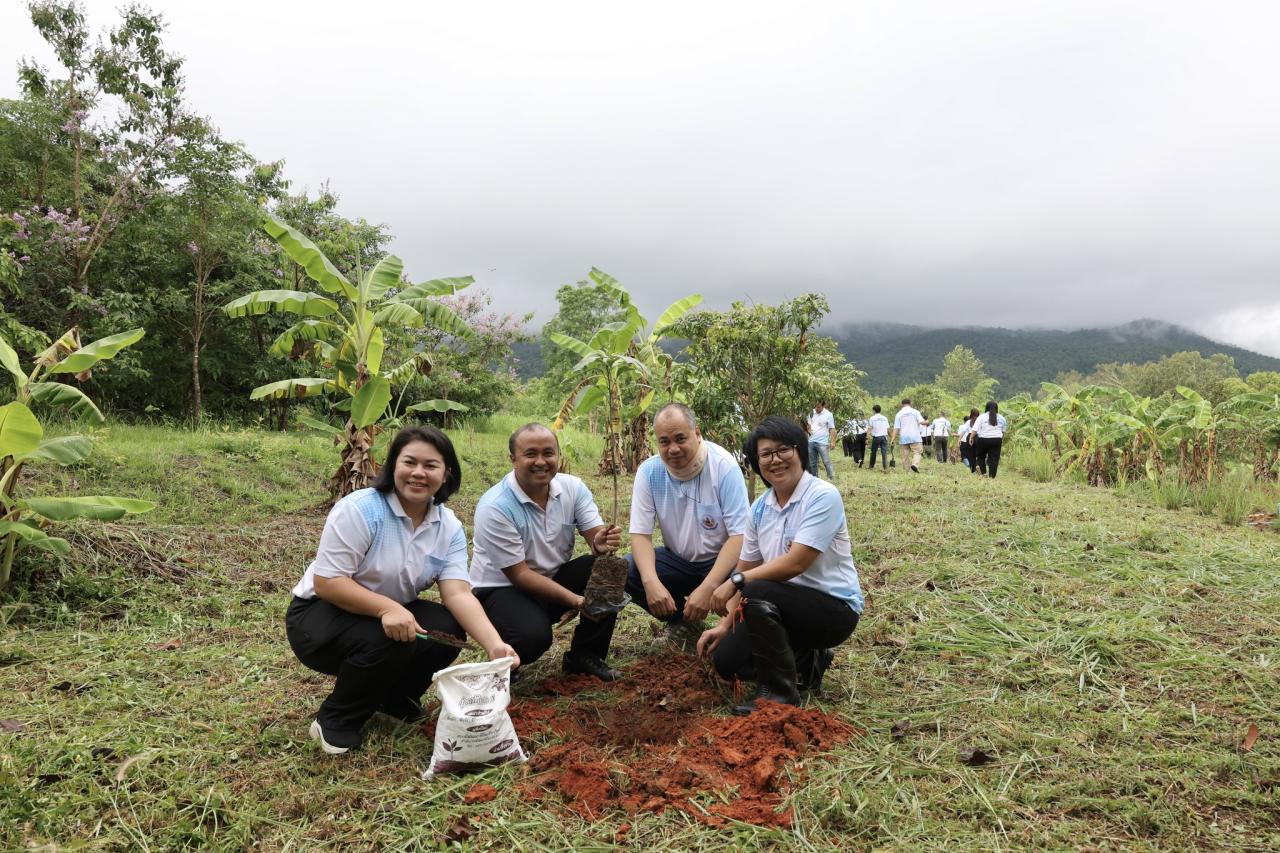 ภาพประกอบที่ 11