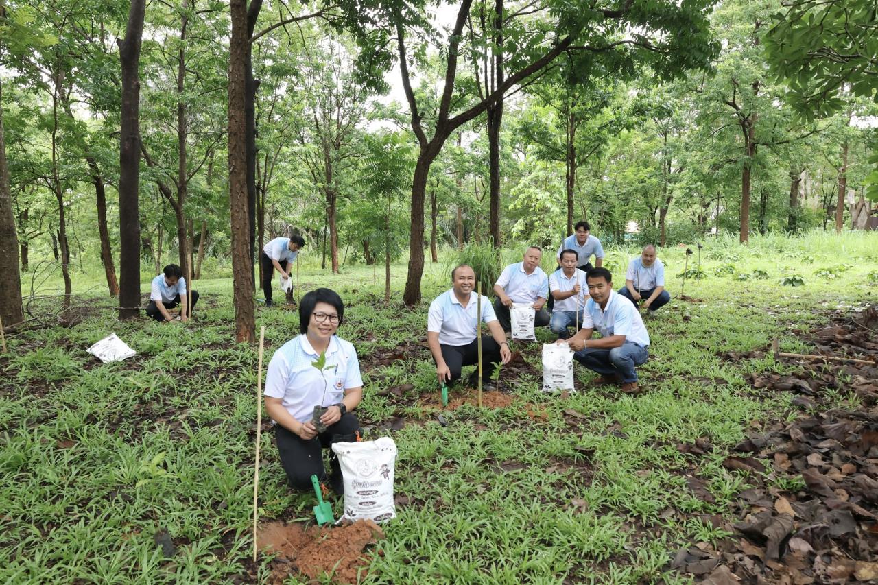 ภาพประกอบที่ 15