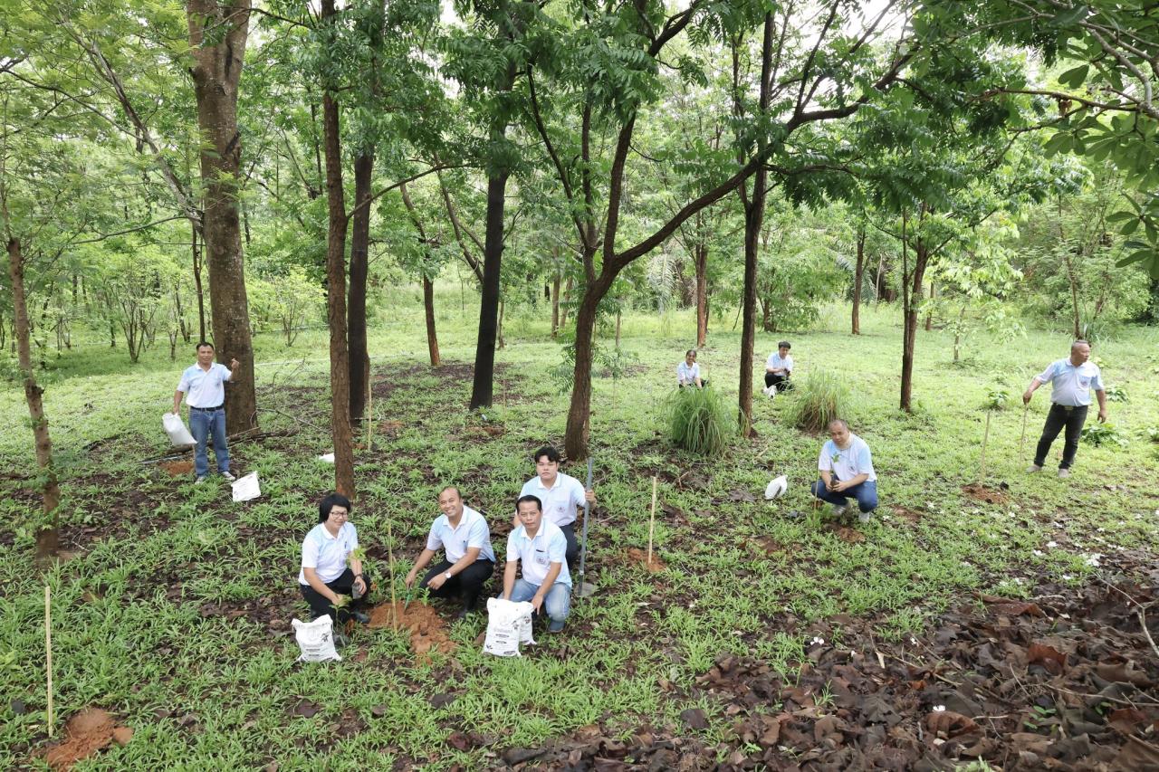 ภาพประกอบที่ 17