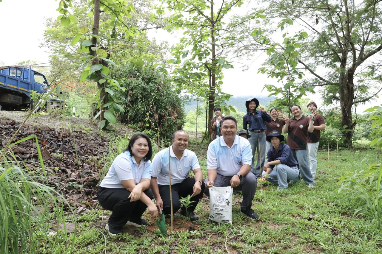 ภาพประกอบที่ 19