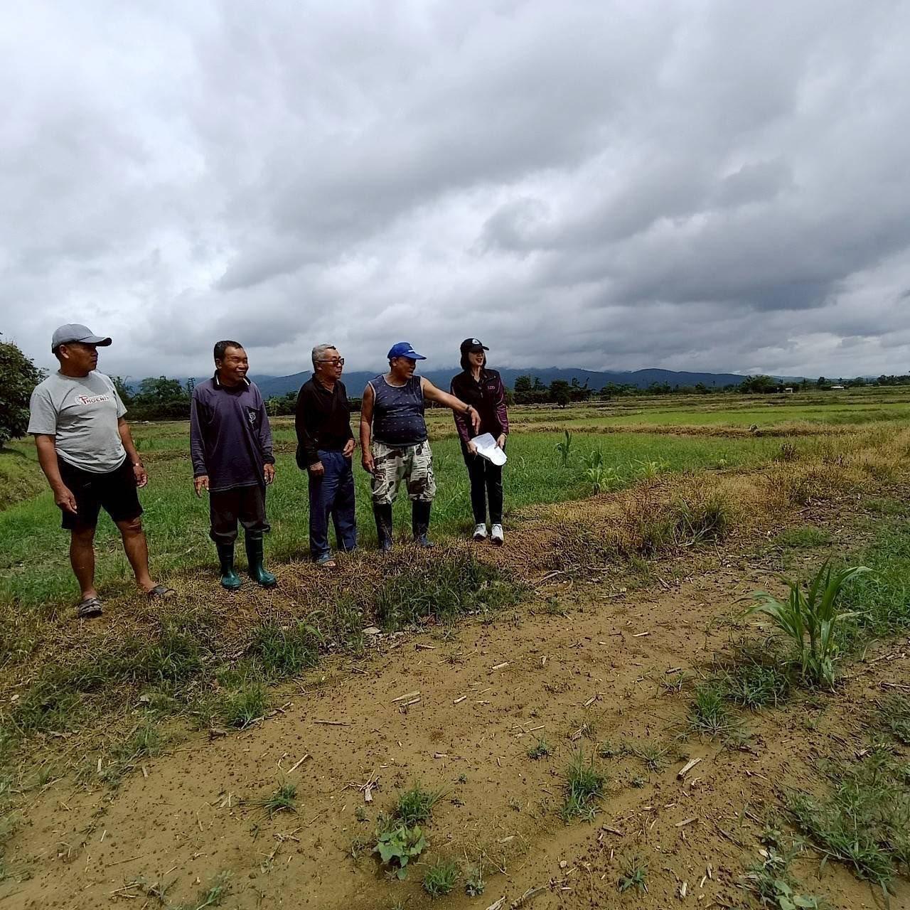 ภาพประกอบที่ 1