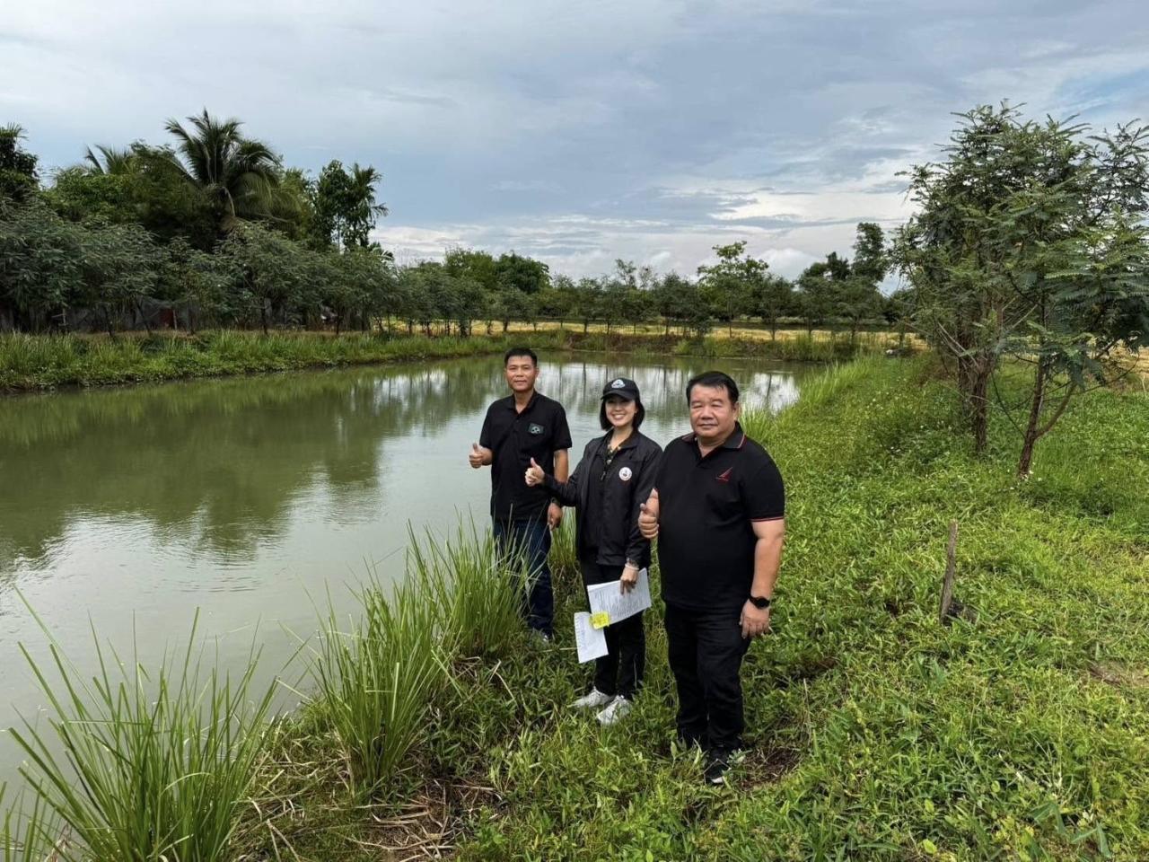 ภาพประกอบที่ 4