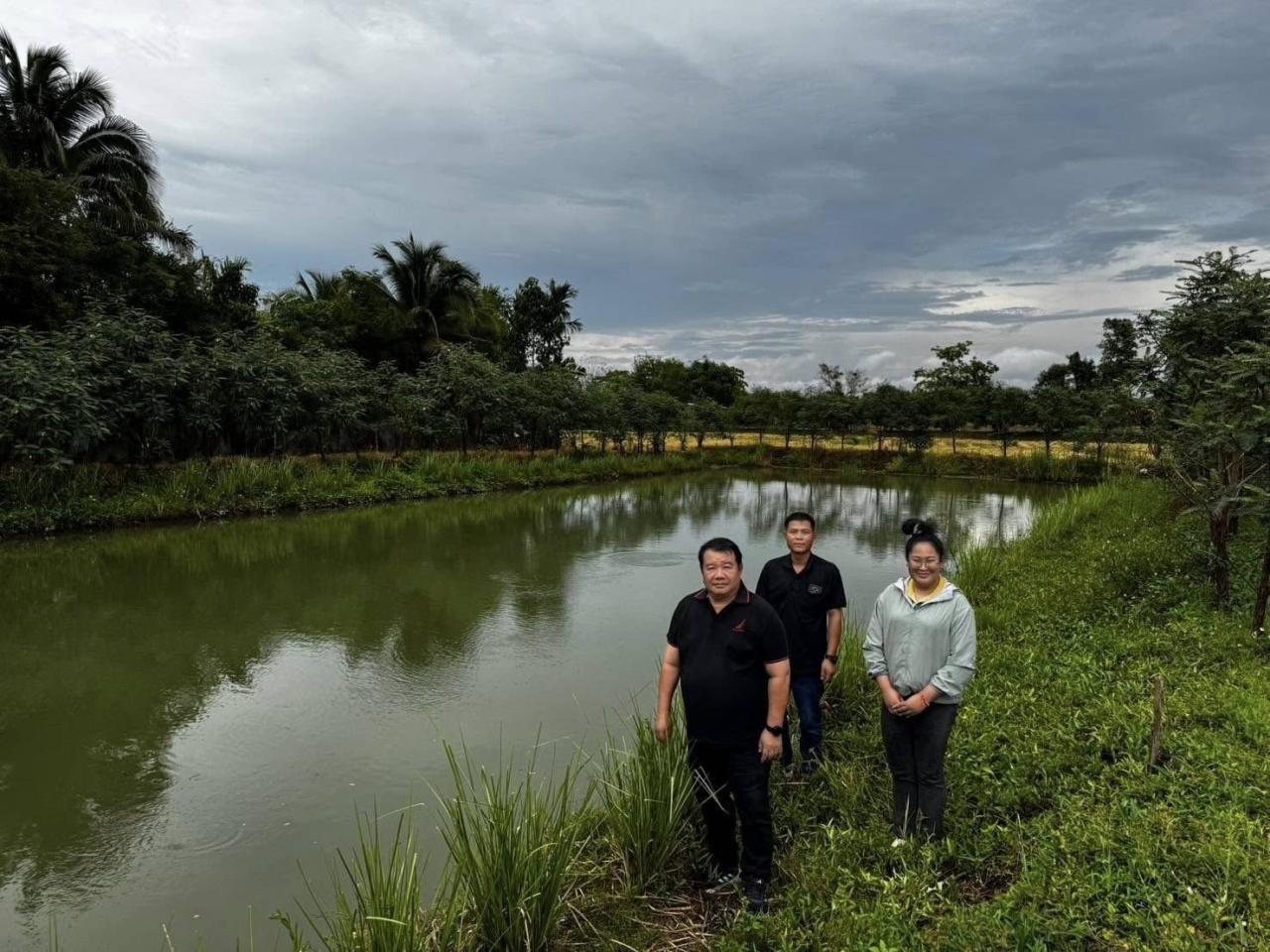 ภาพประกอบที่ 7