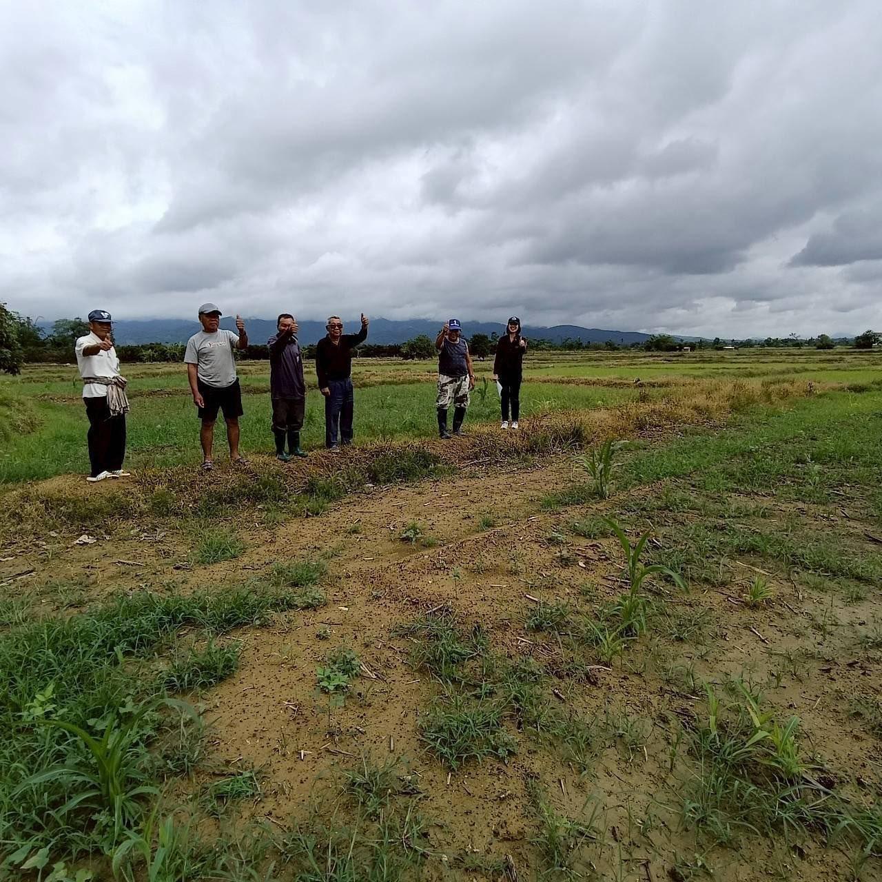 ภาพประกอบที่ 10