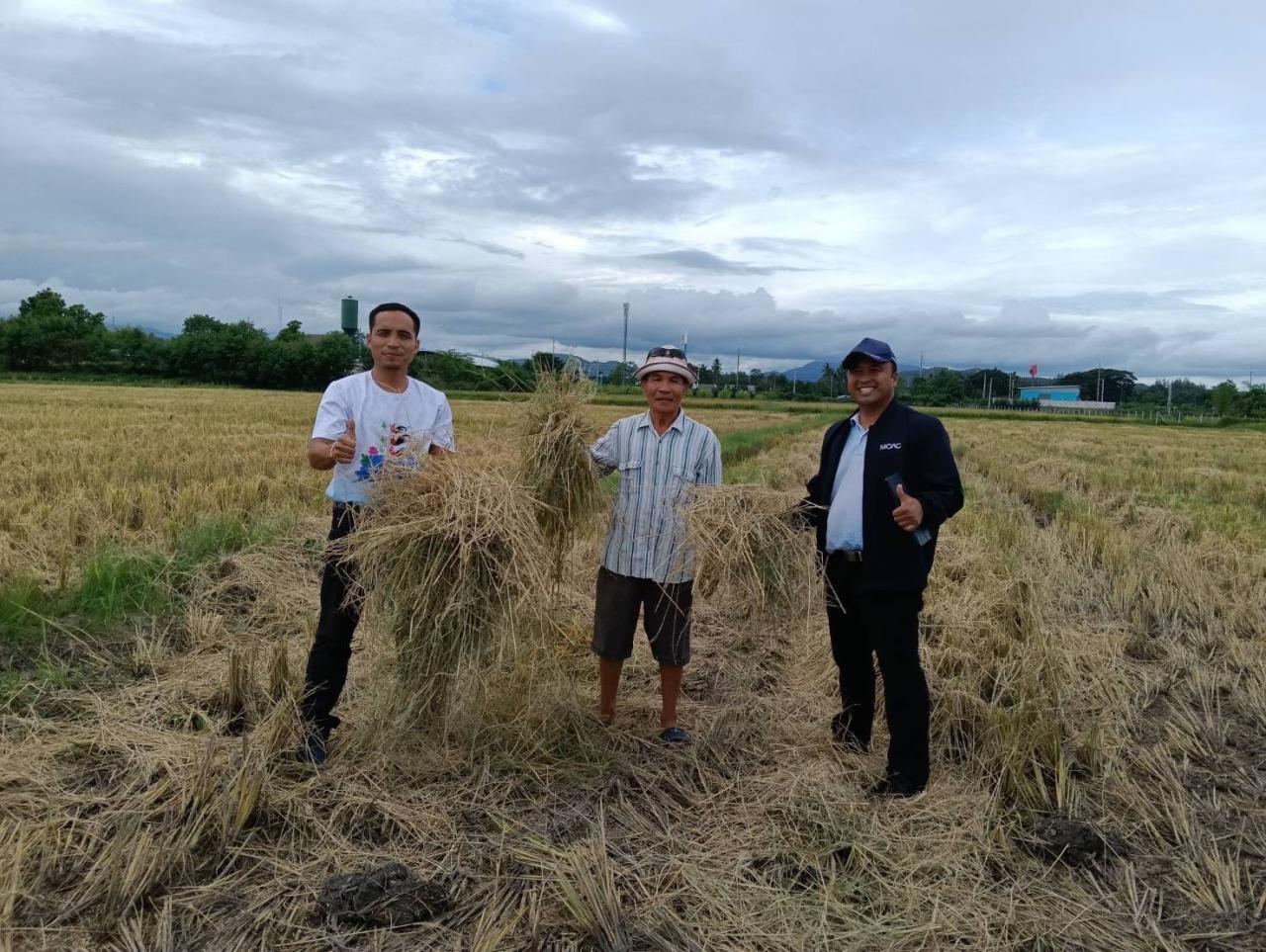 ภาพประกอบที่ 1