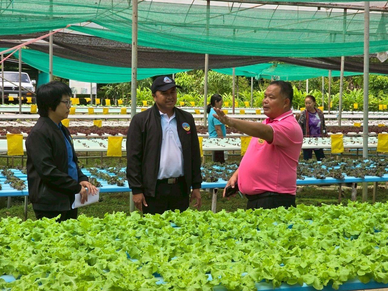 ภาพประกอบที่ 8