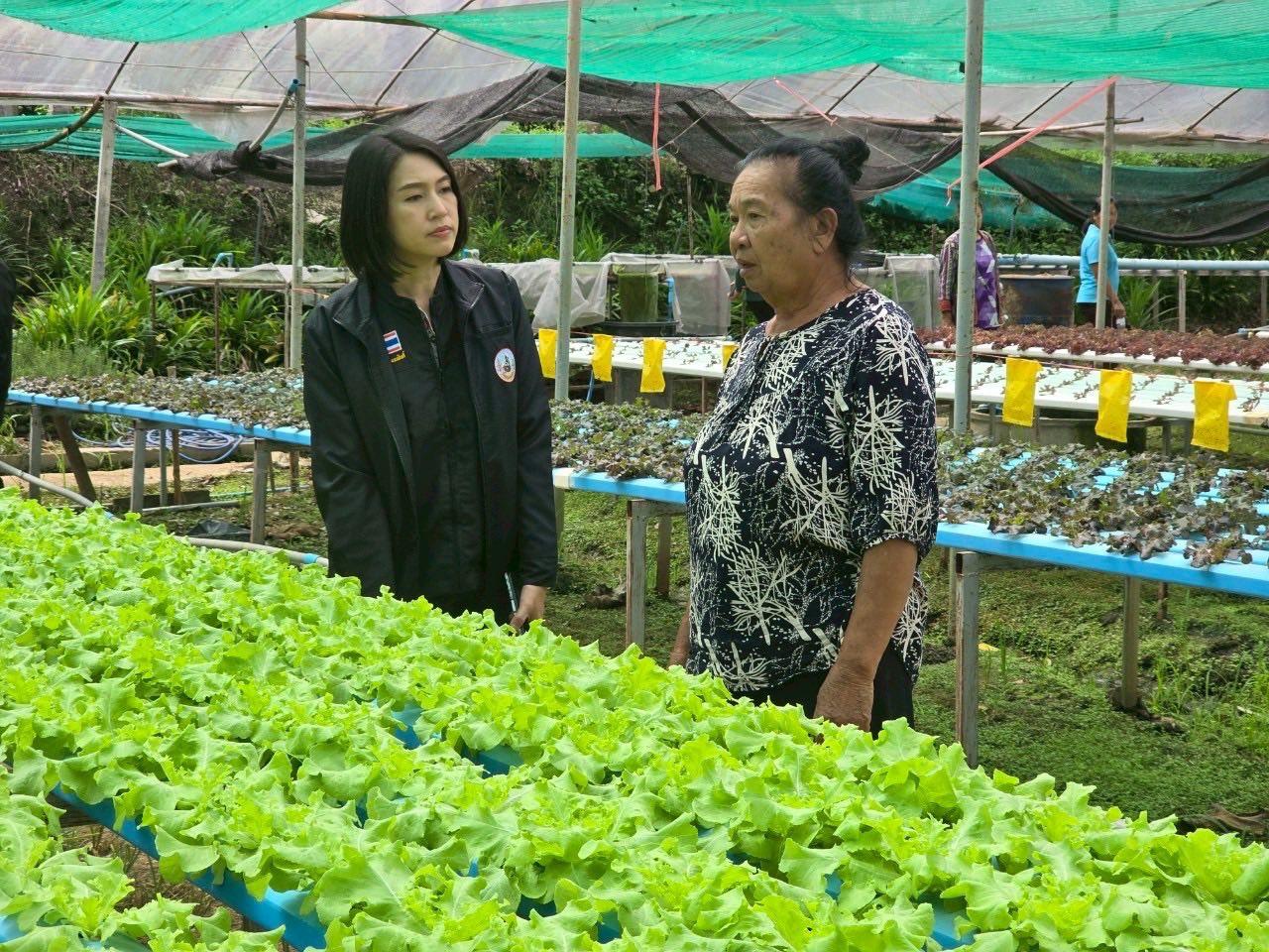 ภาพประกอบที่ 10