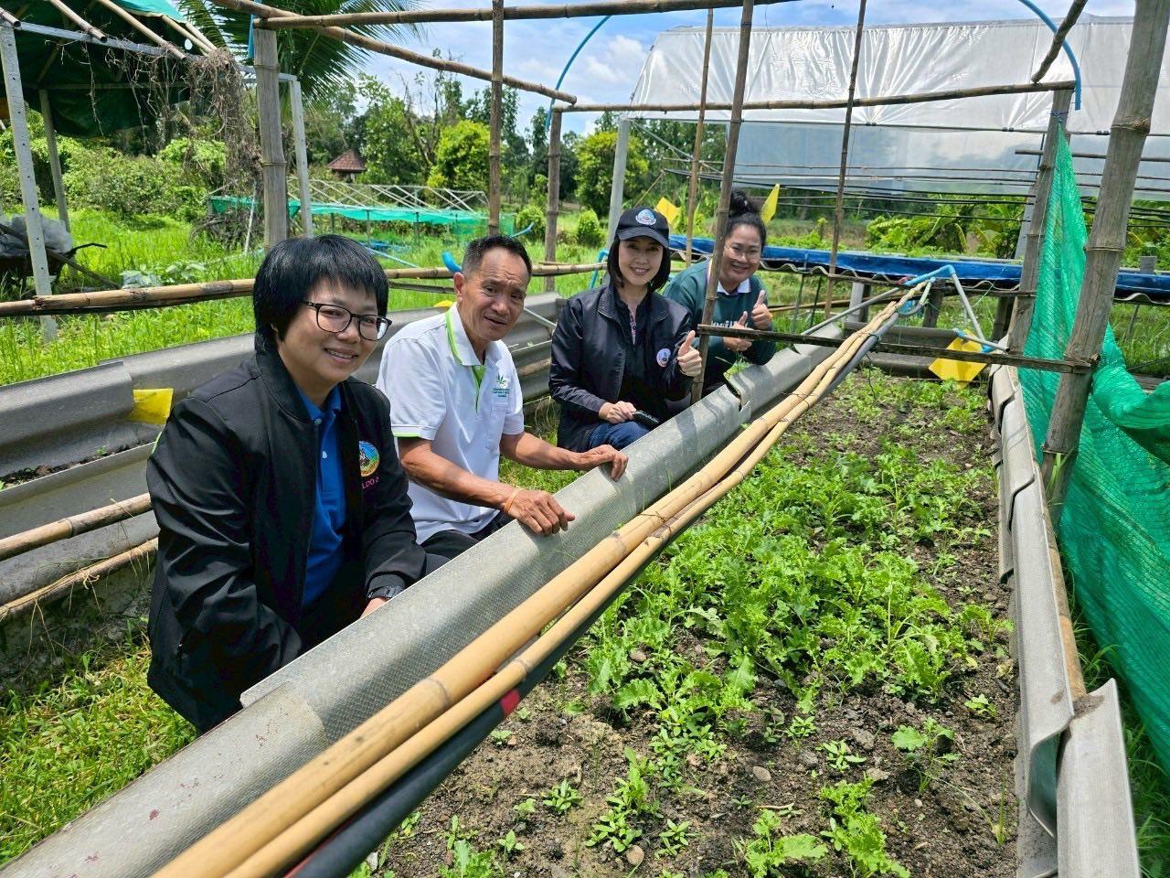 ภาพประกอบที่ 11