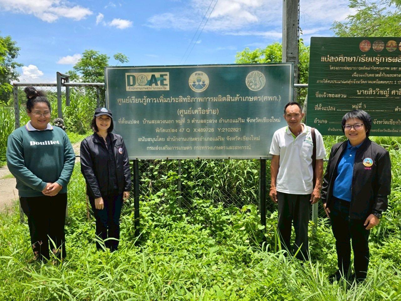 ภาพประกอบที่ 12