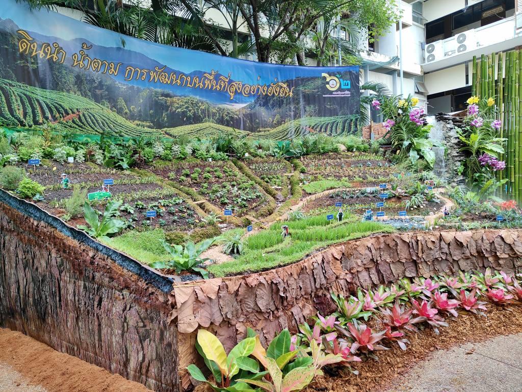 ภาพประกอบที่ 9